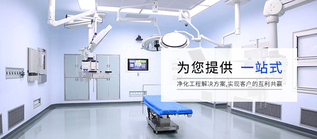 净化项目 - 无尘车间_净化工程_山东浪清洁化